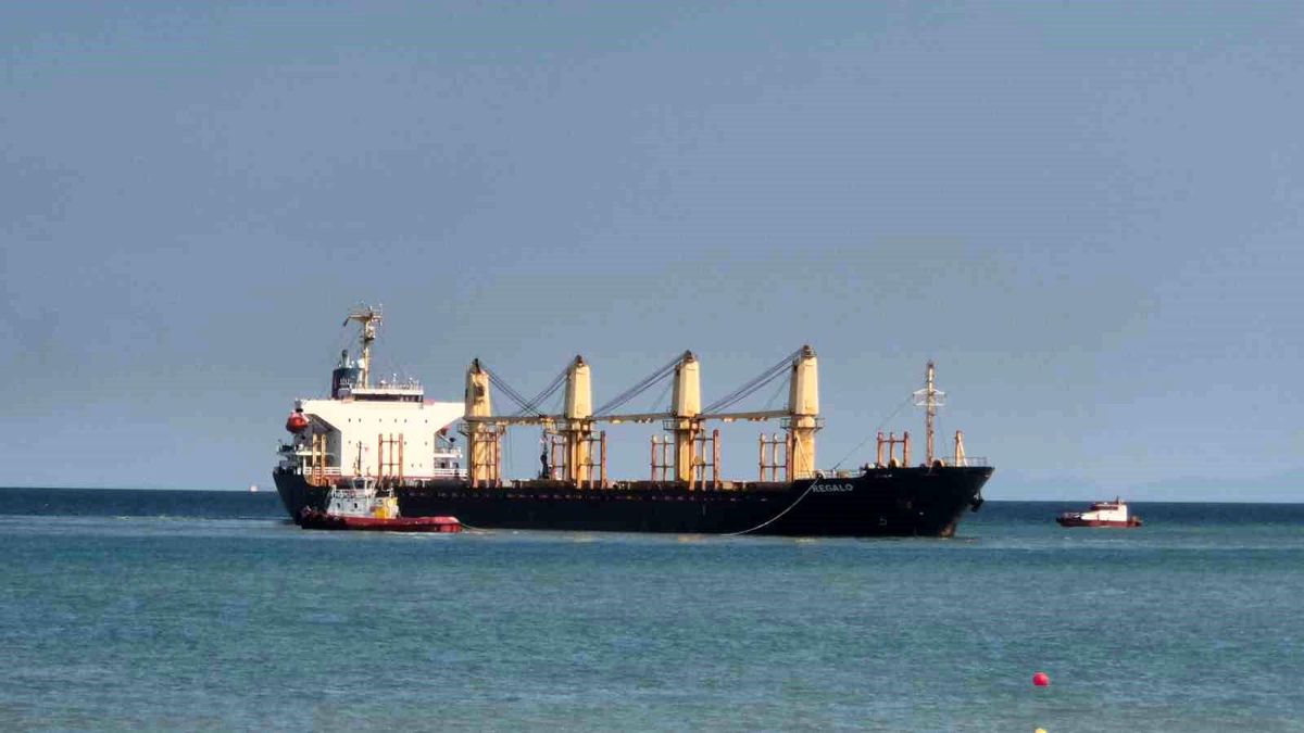 Tekirdağ'da 169 metrelik gemi karaya oturdu