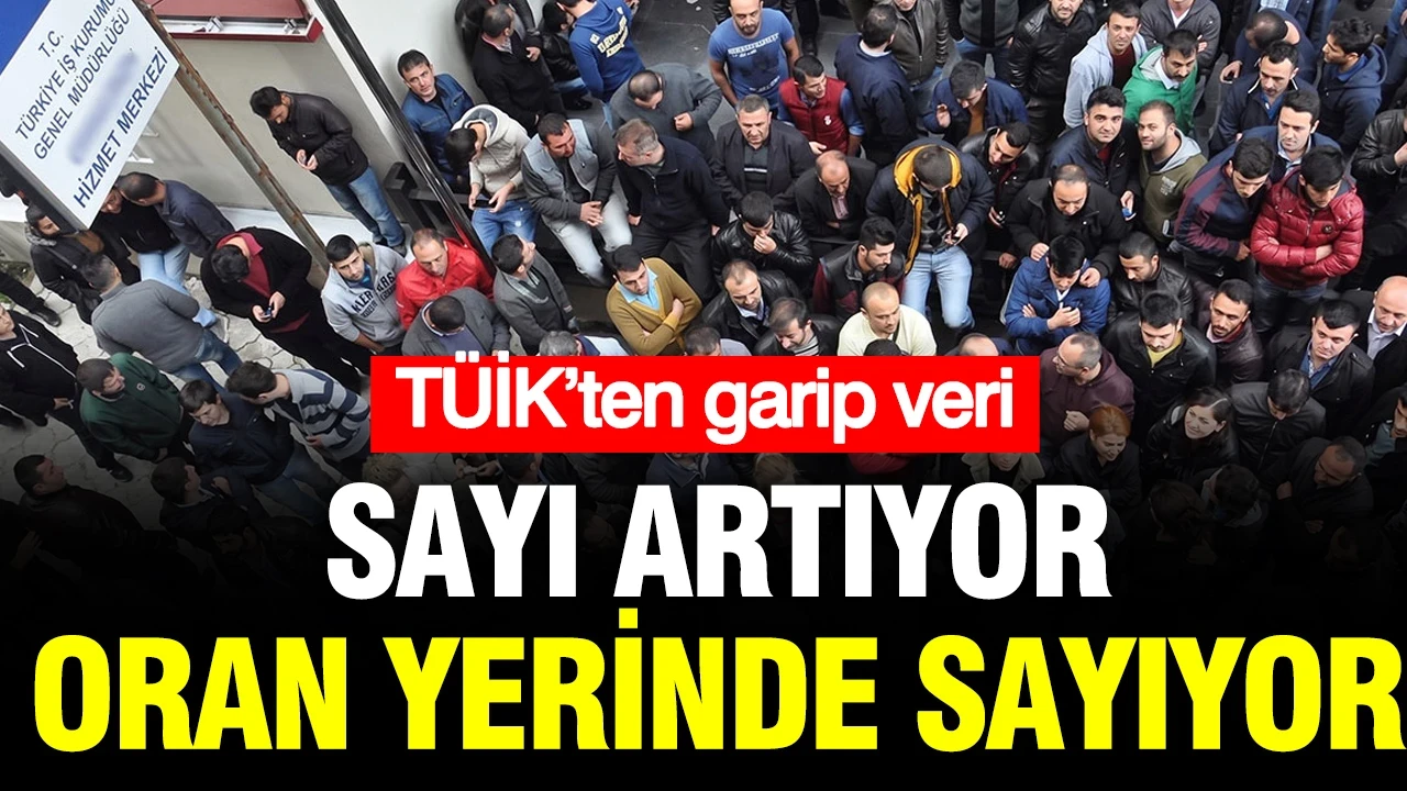 TÜİK’ten garip veri: Sayı artıyor, oran yerinde sayıyor