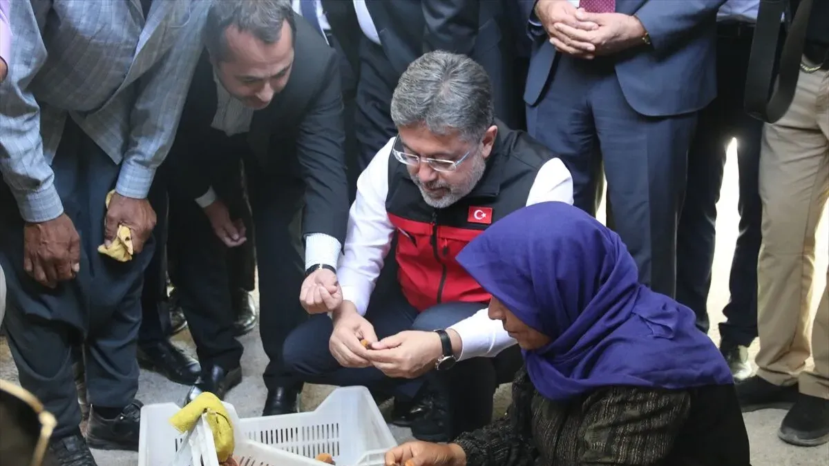 Malatya'da kayısı hasadı başladı! Bakan Yumaklı'dan TARSİM çağrısı