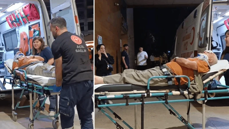 Erik toplarken ağaçtan düşüp yaralandı