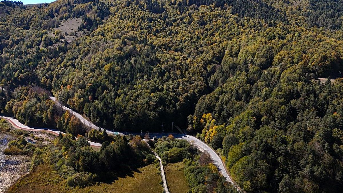 Bolu'da ormanlara giriş 30 Eylül'e kadar yasaklandı