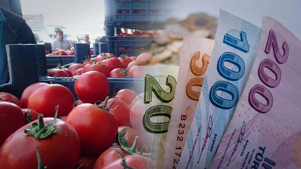 Domates fiyatları düştü: Halde kilogram fiyatı 15 TL oldu | EKONOMİ HABERLERİ
