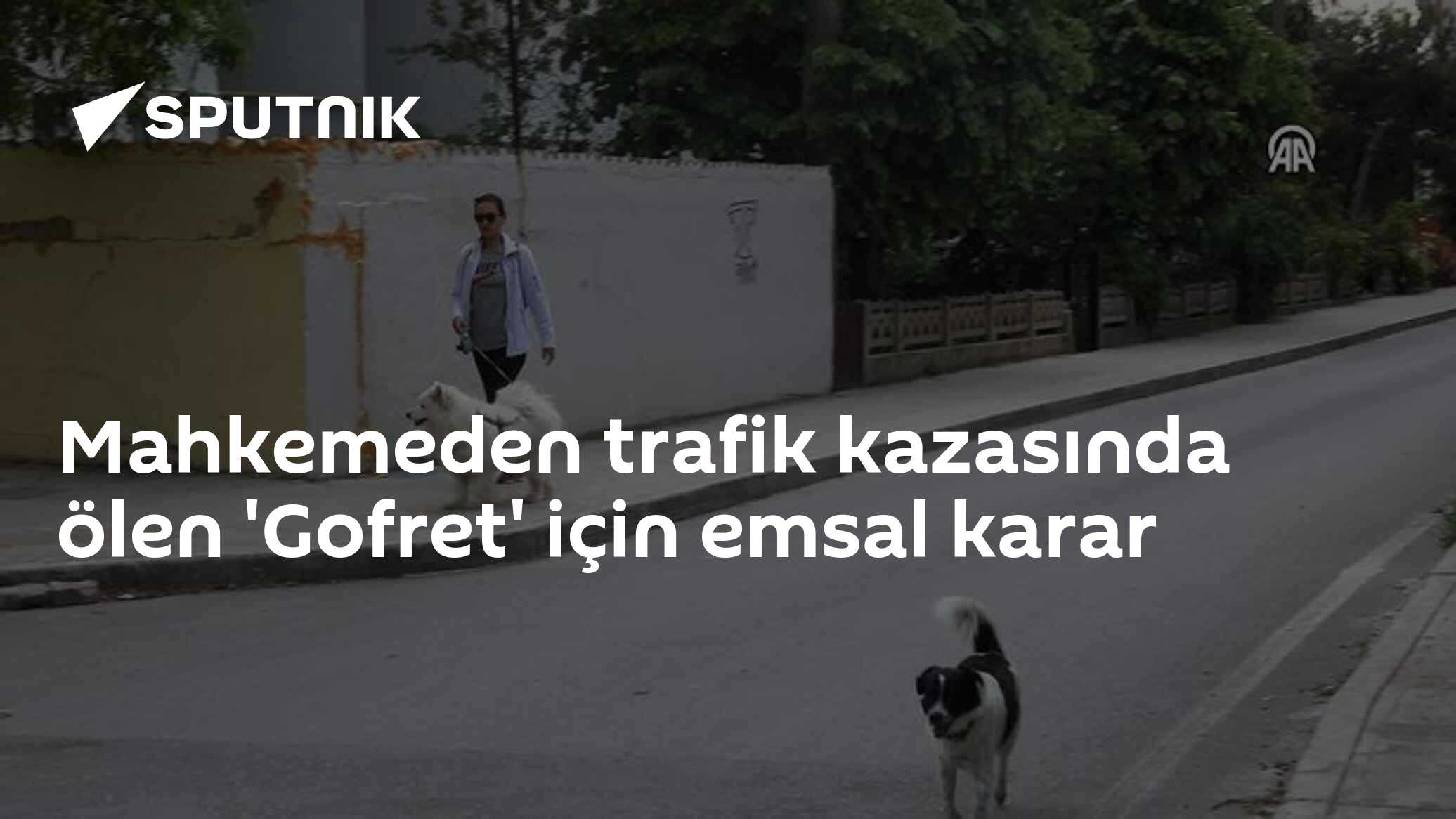 Mahkemeden trafik kazasında ölen 'Gofret' için emsal karar