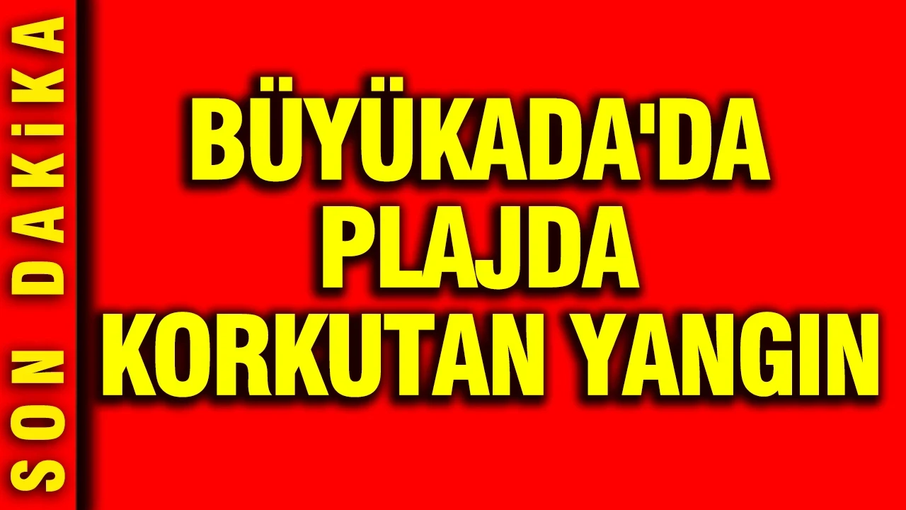 Büyükada'da plajda korkutan yangın