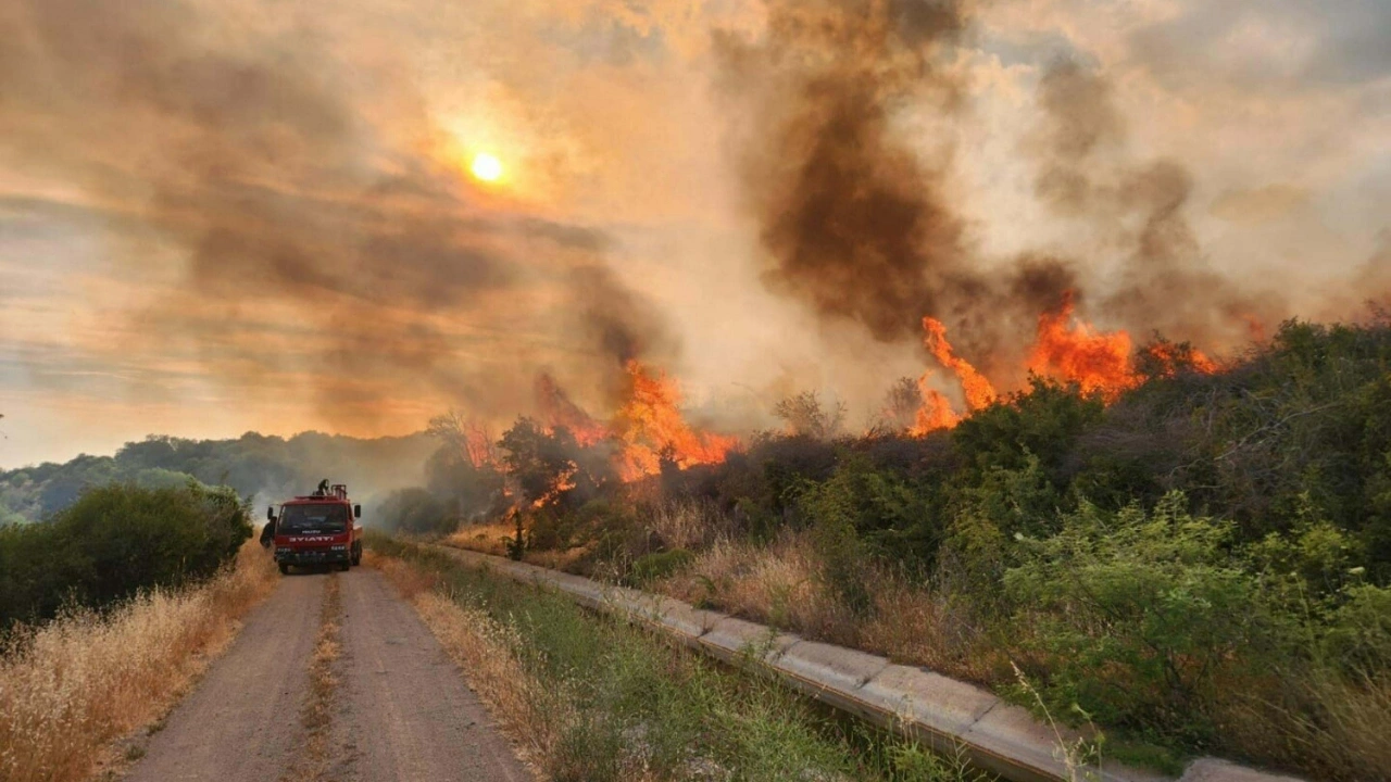 Çanakkale'de iki gün boyunca uygulanacak! Valilikten hasat yasağı kararı