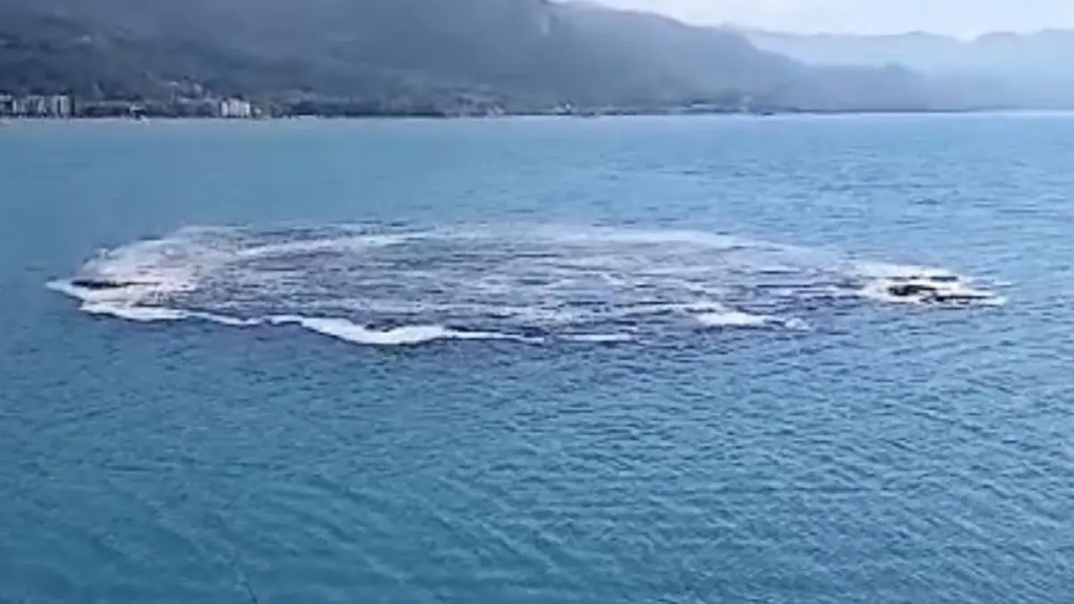 Kastamonu'da korku dolu anlar! Patlama şeklinde kabaran denizden kötü koku yayılmaya başladı