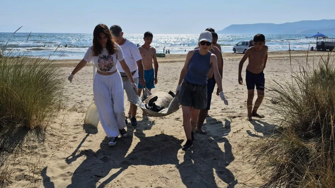 Üç caretta caretta sahilde ölü bulundu