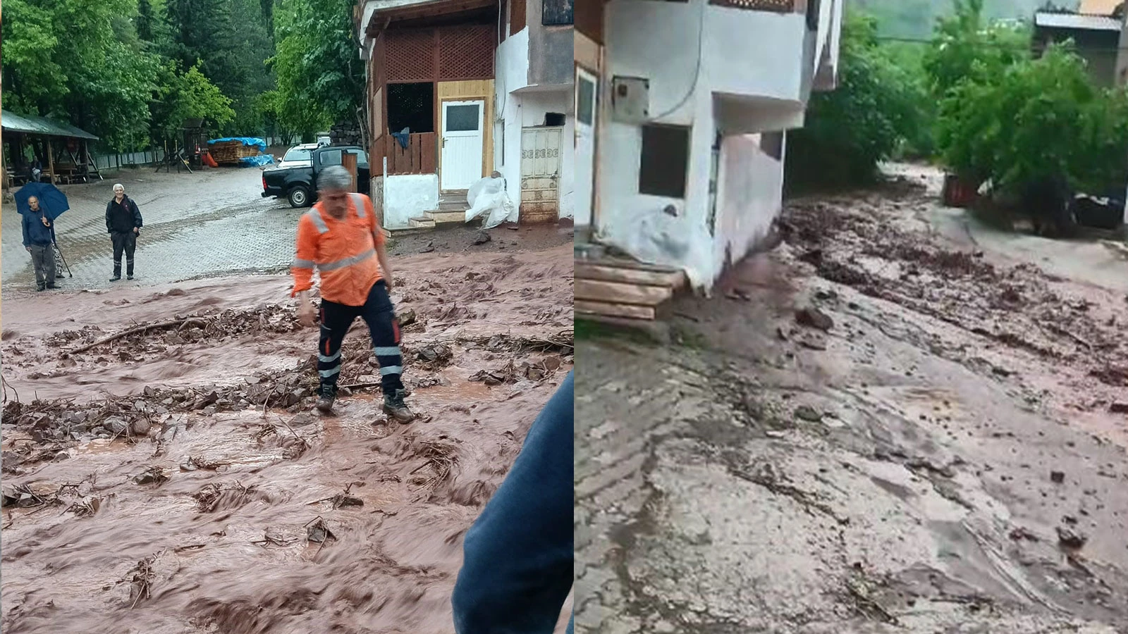 Artvin'de sağanak sonrası dereler taştı