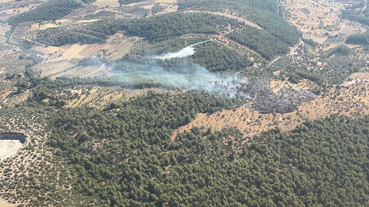 Muğla'da ziraat alanında çıkan yangın kontrol altına alındı