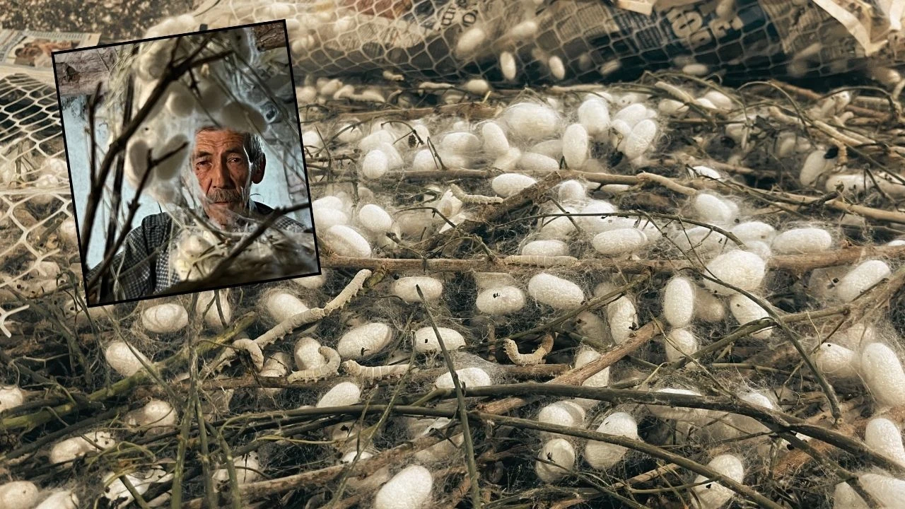 "Bundan daha çok kazandıran bir iş yok!" dedi, evinin altını darphneye çevirdi