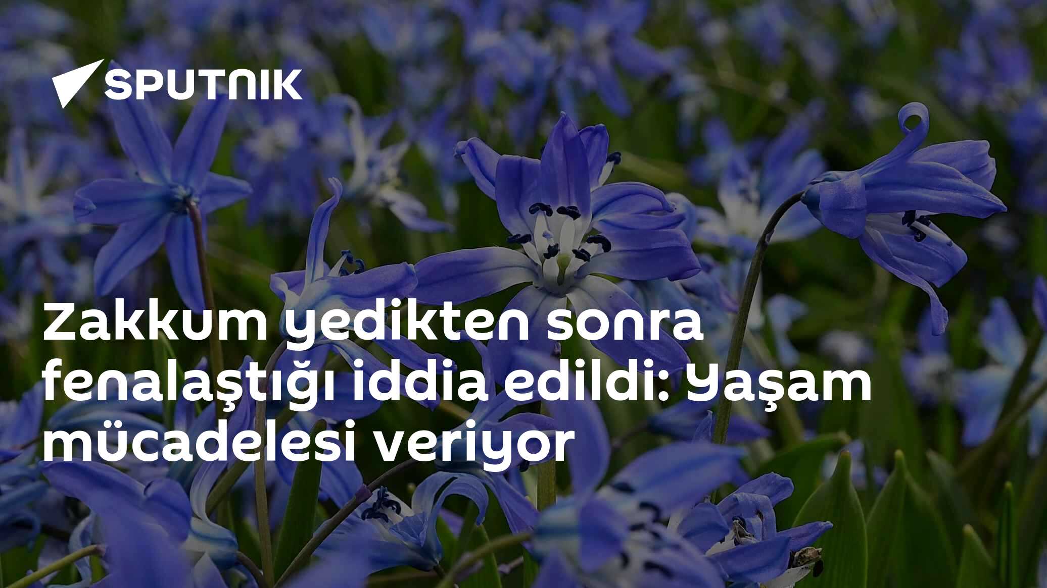 Zakkum yedikten sonra fenalaştığı iddia edildi: Yaşam mücadelesi veriyor
