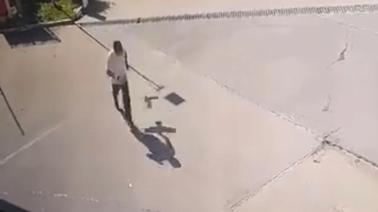 İlginç anlar kamerada! Karganın saldırısına uğradı, kaçarken takla attı