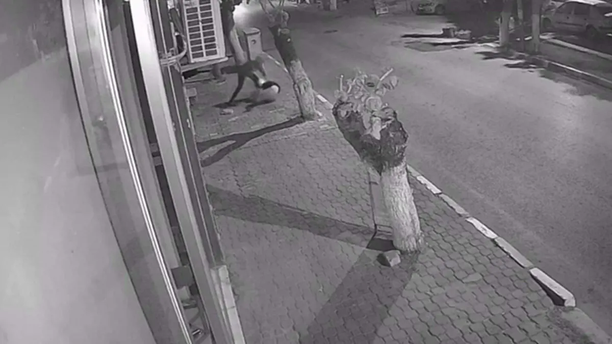 İzmir'de genç kızı bıçaklamıştı! İftira savunması yaptı tahliye edildi!