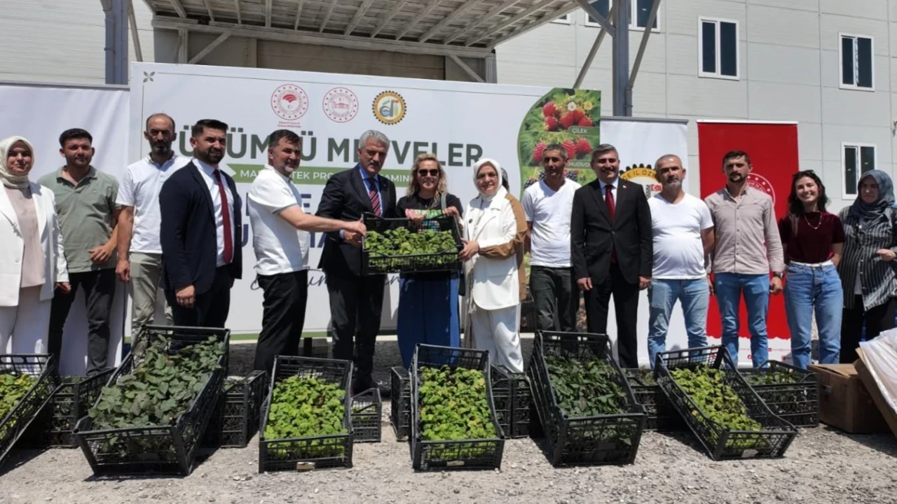 Düzce çiftçisine fide ve damla sulama sistemi desteği