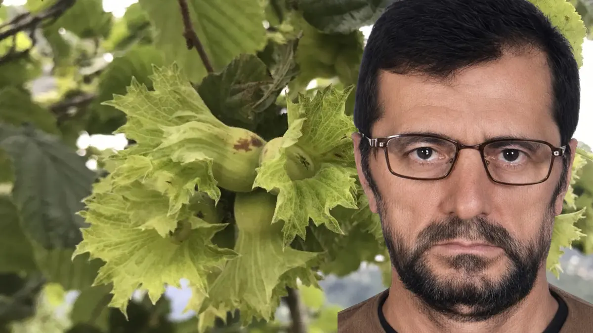 Fındık bahçesinde feci ölüm: Yanmış halde bulundu