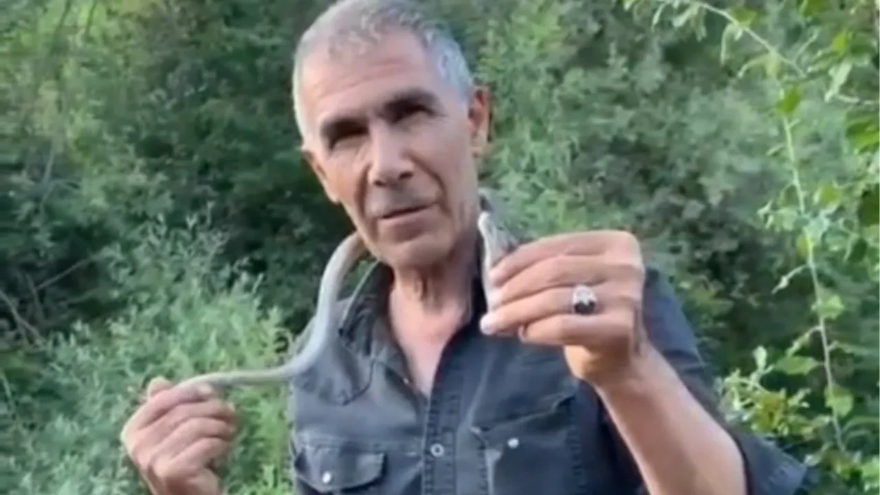 Zehirli engerek yılanını boynuna doladı! Benim yaptığımı yapmayın diye tavsiye verdi