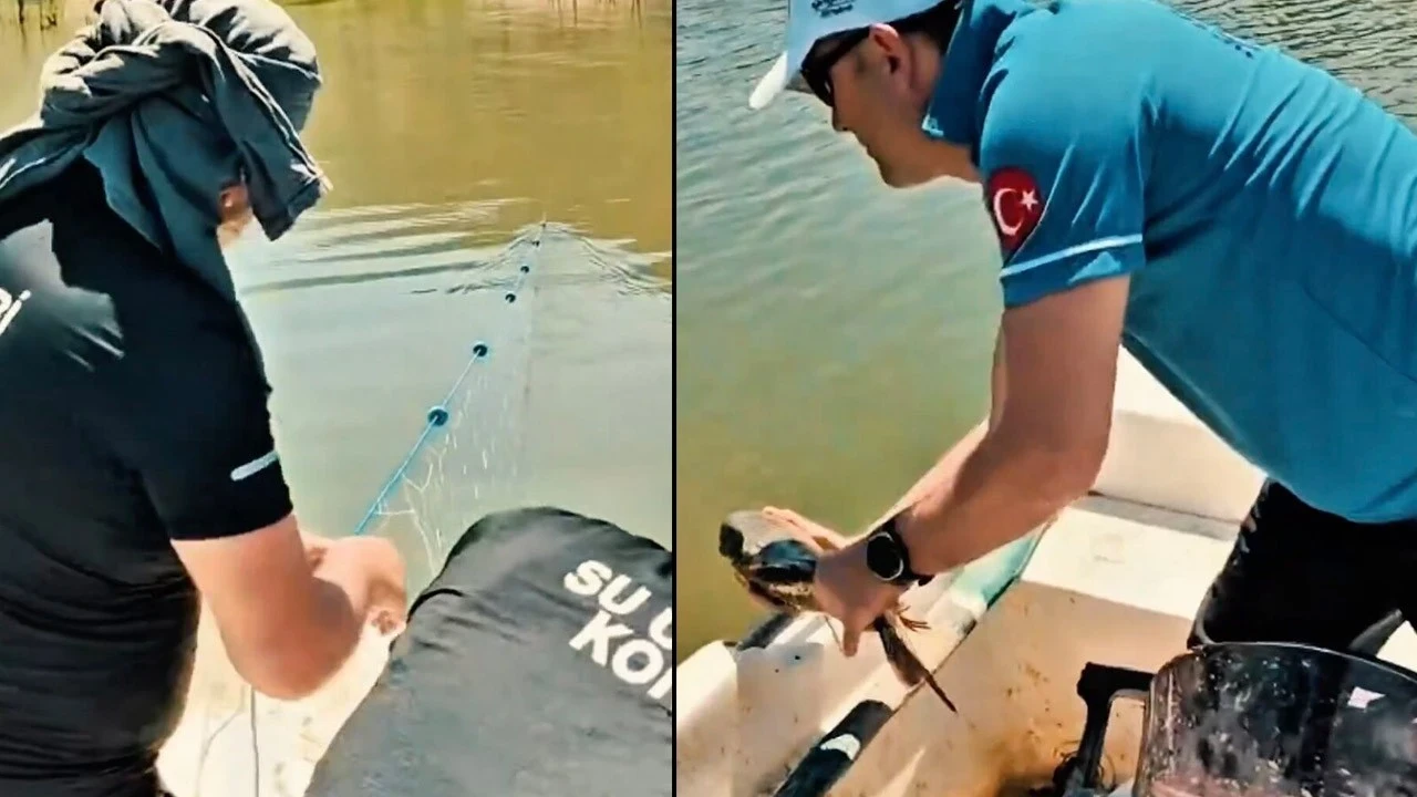 Sakarya'da ele geçirildi! Tam 2,45 metre uzunluğunda dev ölüm ağı
