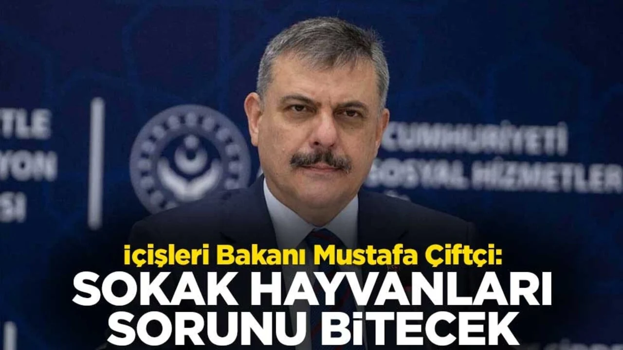 İçişleri Bakanı Mustafa Çiftçi: Sokak hayvanları sorunu bitecek