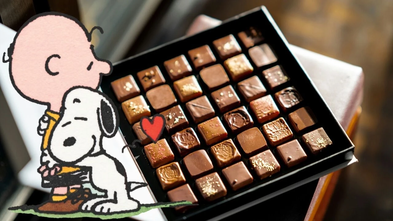 Snoopy ve Charlie Brown çikolata ambalajlarında