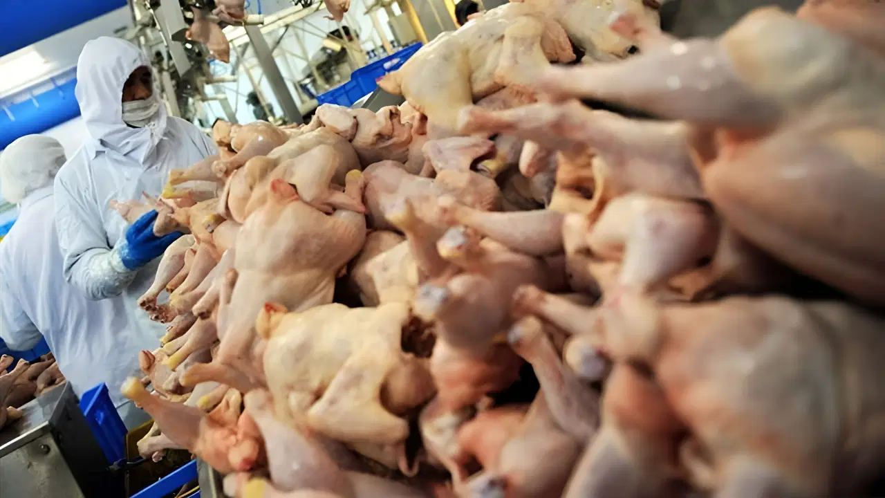 Beyaz et tesisinde 'kimyasal' paniği: 34 işçi etkilendi