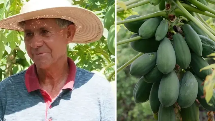 Pazarda gördü, hayatı değişti! Kiraladığı arazide her ay tonlarca hasat ediyor, paraya para demiyor