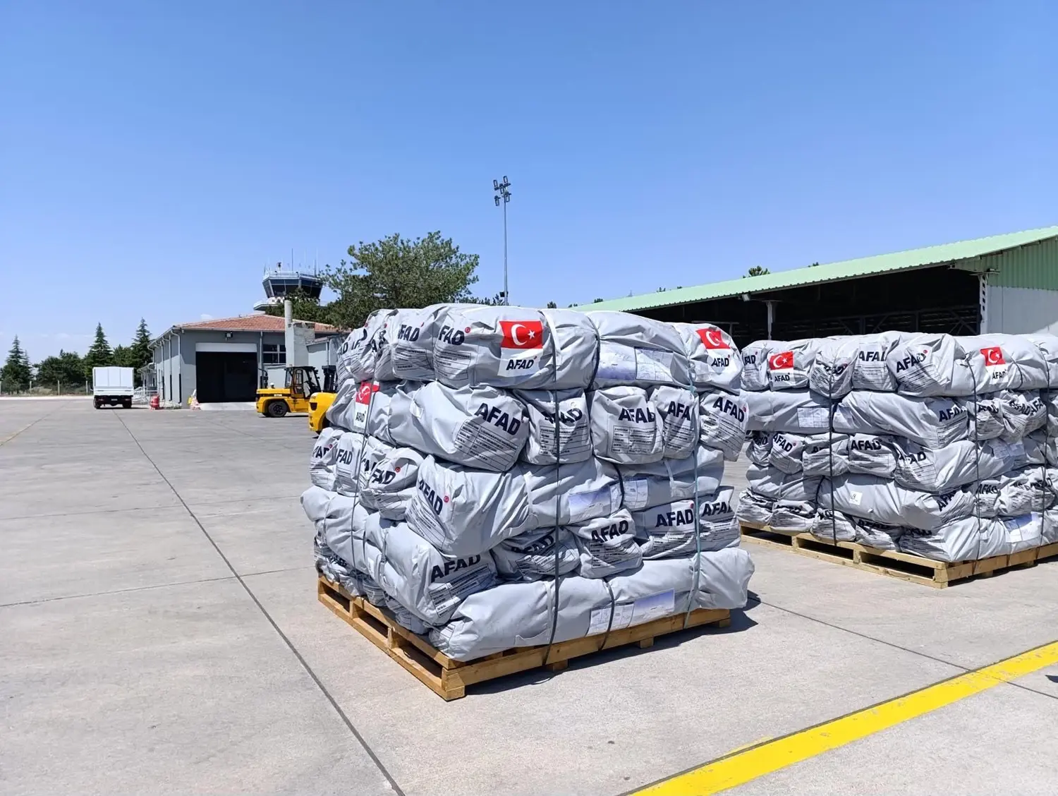 Türkiye'den Venezuela'ya 30 ton insani yardım malzemesi