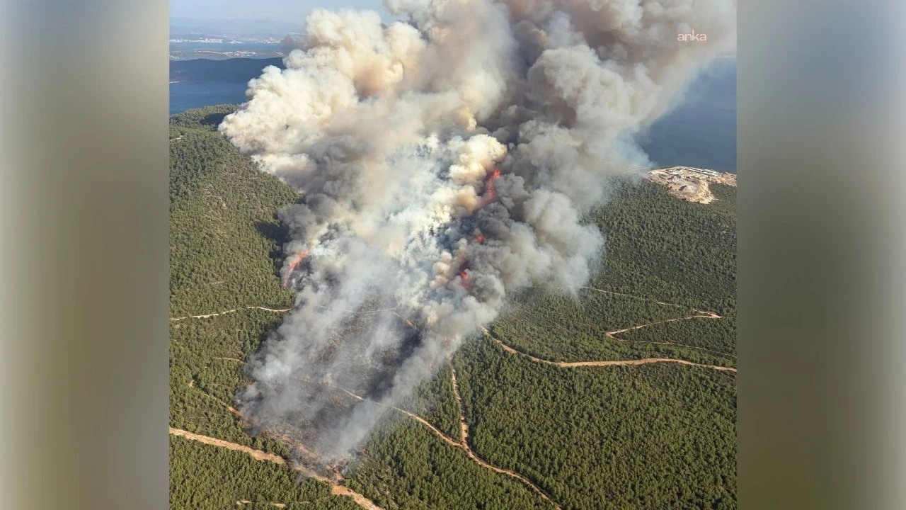 Muğla'da 3 ayrı noktada yangın