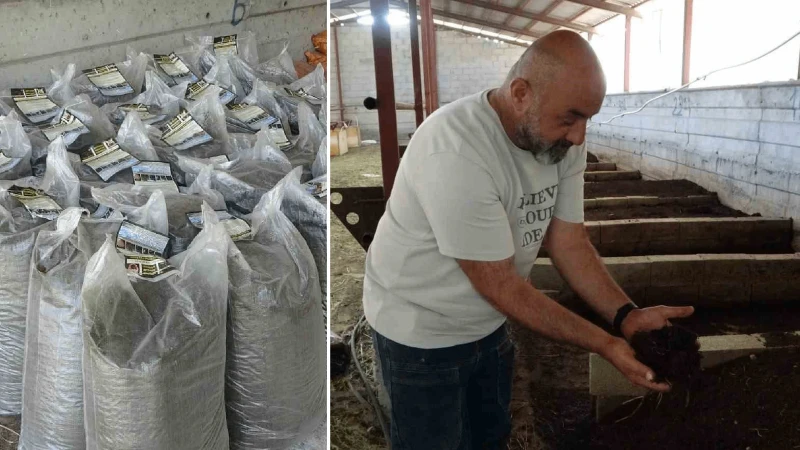 Memleketine döndü, evinin bahçesinde kurduğu sistemle ezber bozdu: Tonlarca satıp kazancını katladı