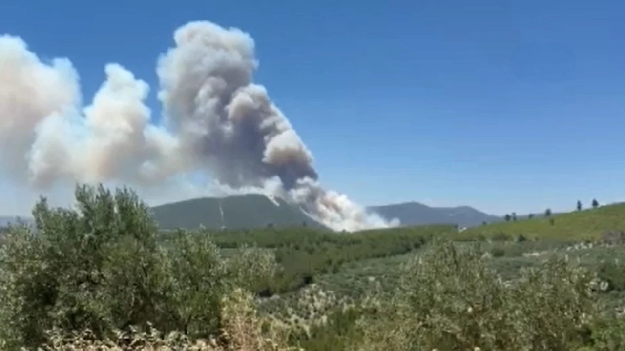Orman yangınlarında önümüzdeki 4 güne dikkat