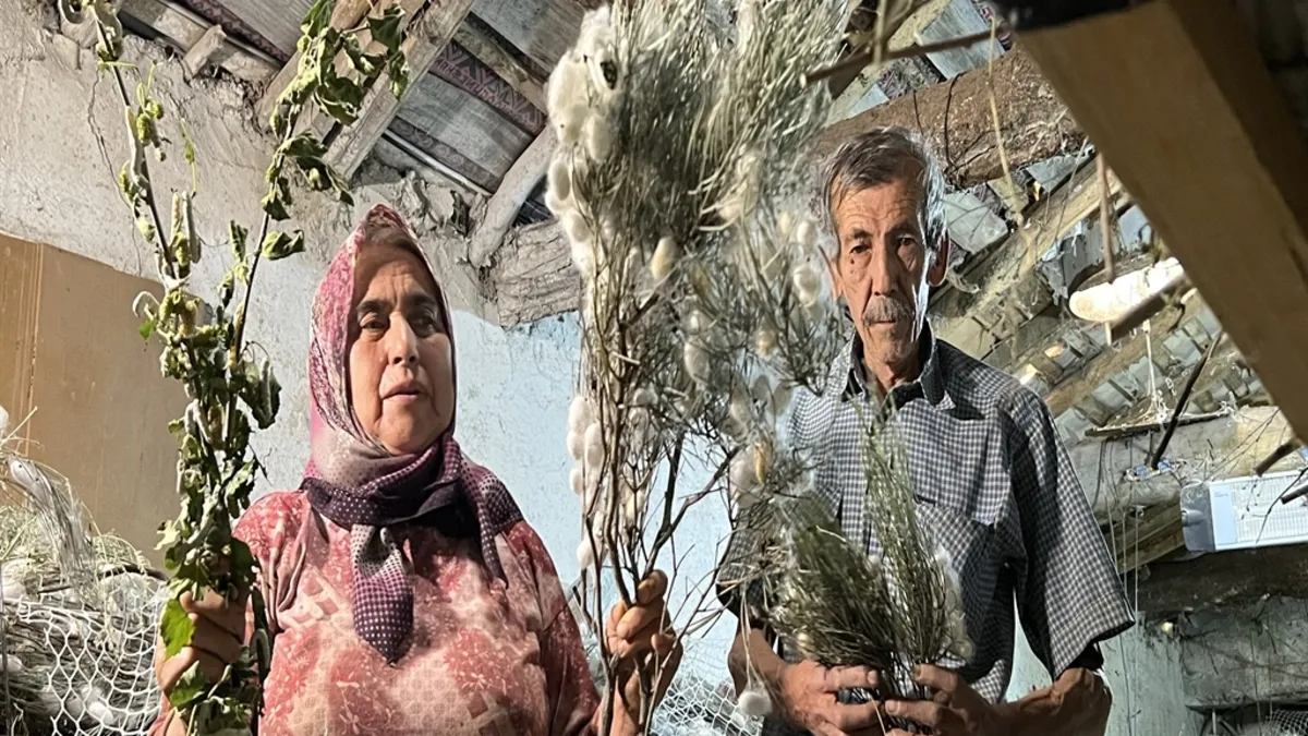 Evinin altında üretti servet kazandı: Kilogramı 2 bin 300 liradan satılıyor!