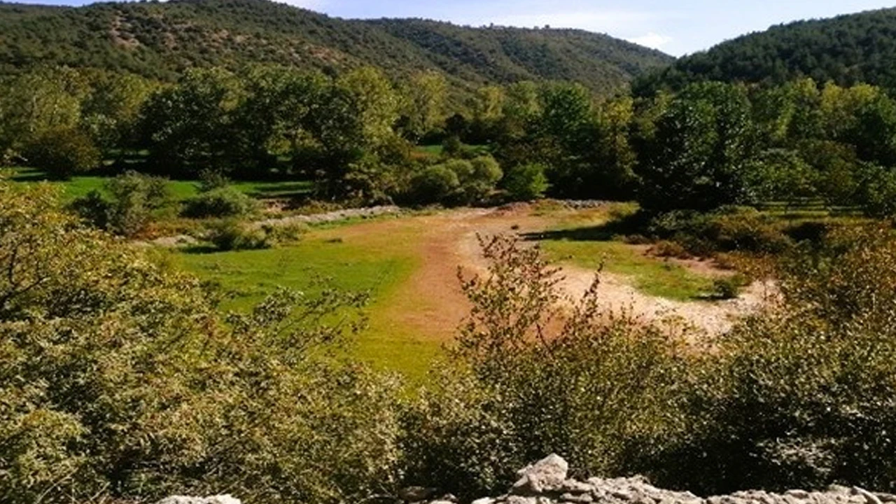 Samsun'da koruma altındaki türlere zarar veren şahsa 699 bin TL ceza