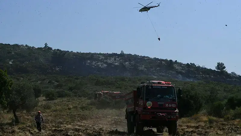 İzmir'de orman yangını