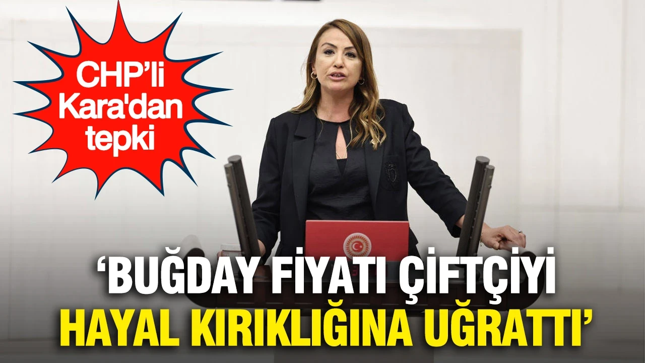 CHP’li Kara'dan buğday fiyatı tepkisi: Çiftçi hayal kırıklığına uğradı