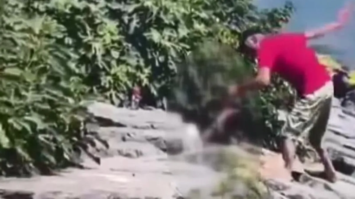 Köpeğe şiddet cezasız kalmadı