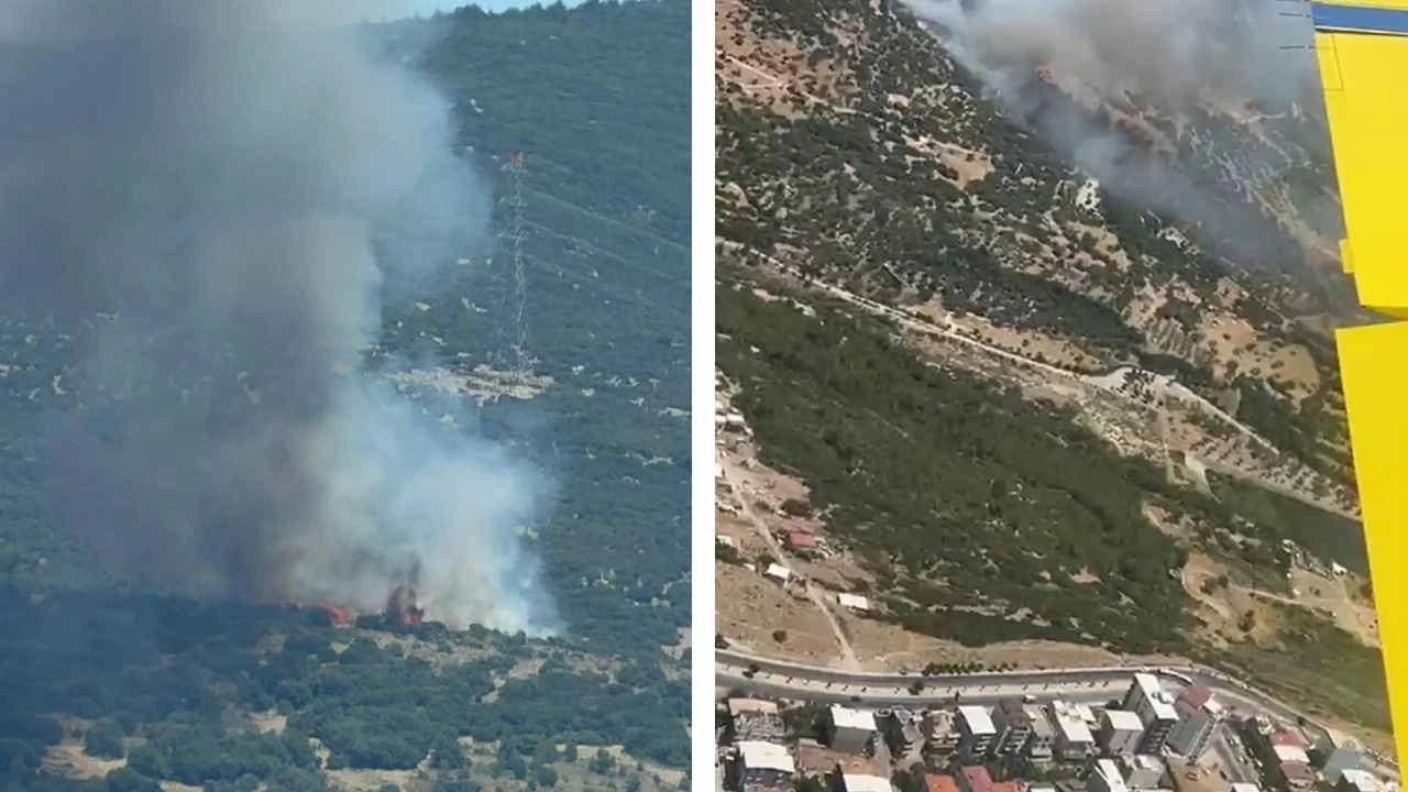 Son dakika | İzmir'de orman yangını! Yerleşim yerlerine çok yakın