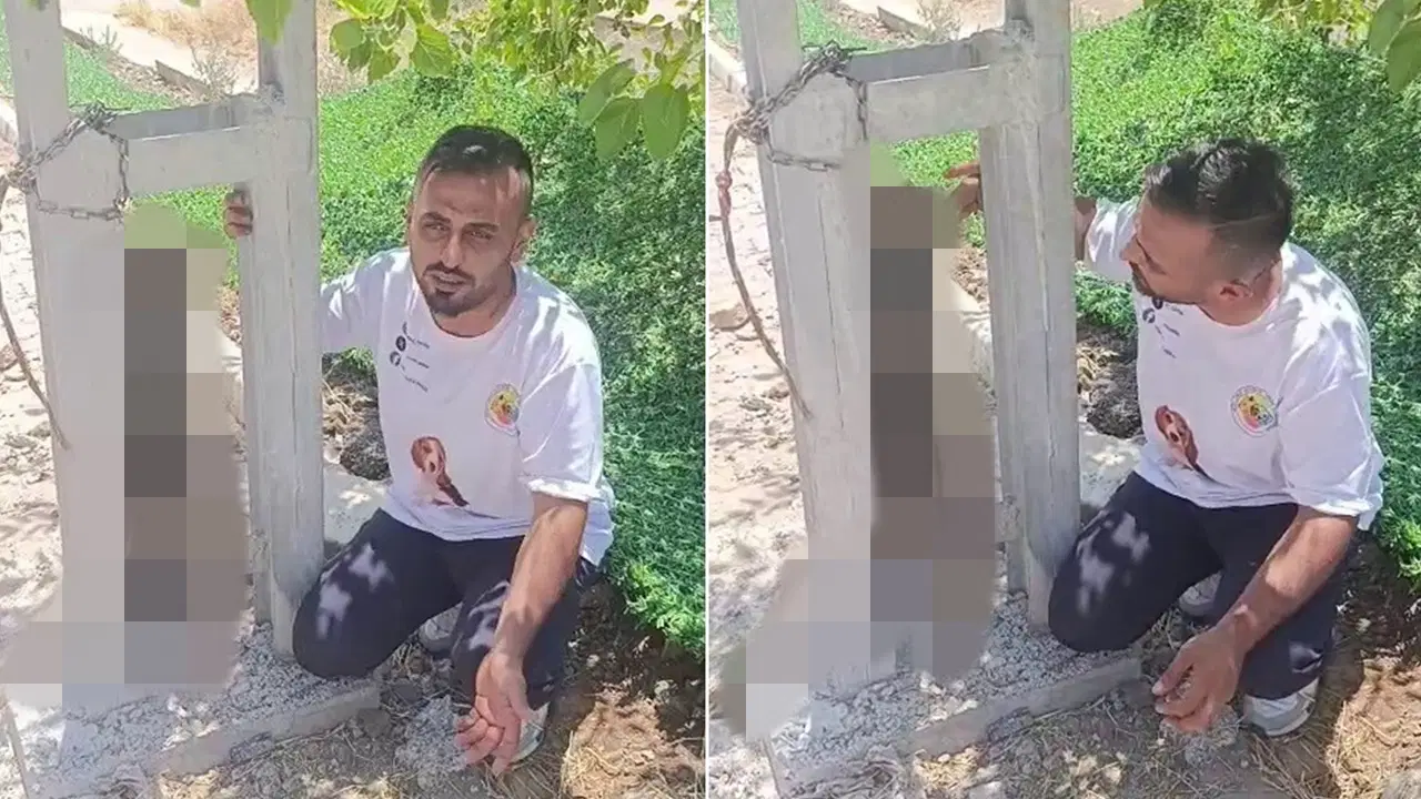 Sahipli köpeği zehirleyip direğe asarak öldürdüler: 'Bunun adı vahşet'