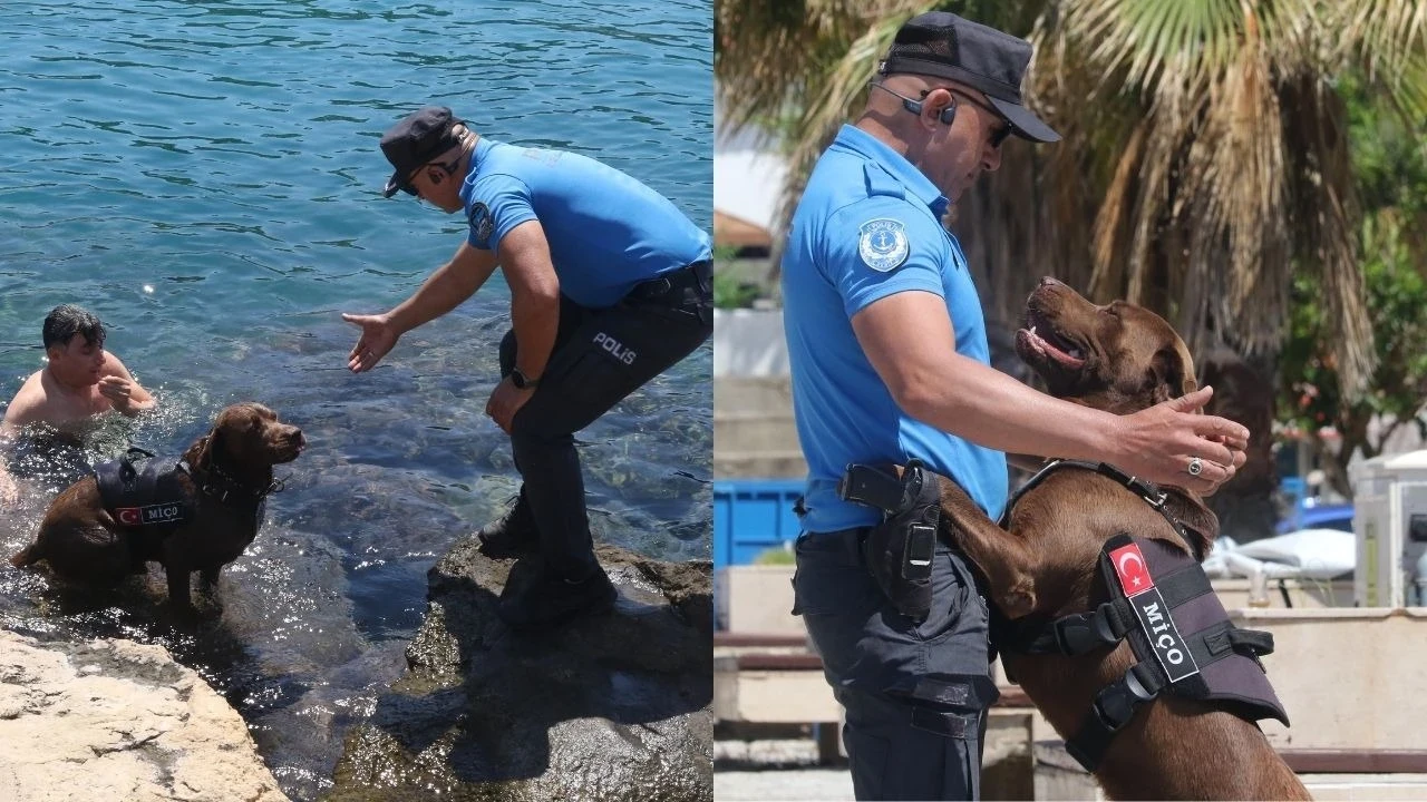 Deniz polisinin maskotu 'Miço' hayat kurtarmak için kulaç atıyor