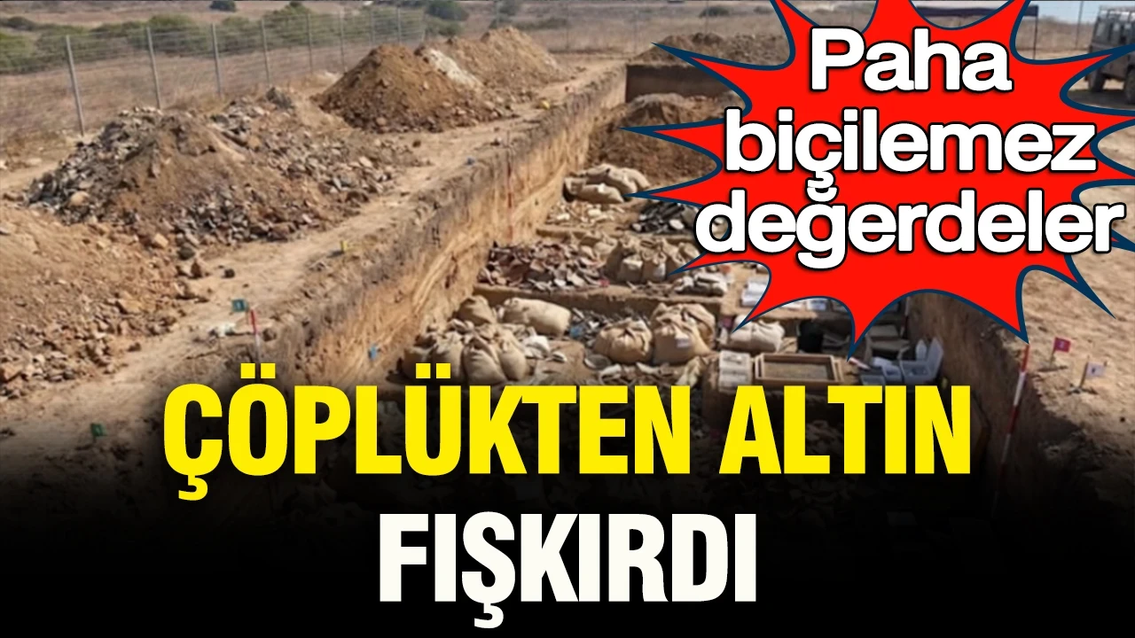 Paha biçilemez değerdeler: Çöplükten altın fışkırdı