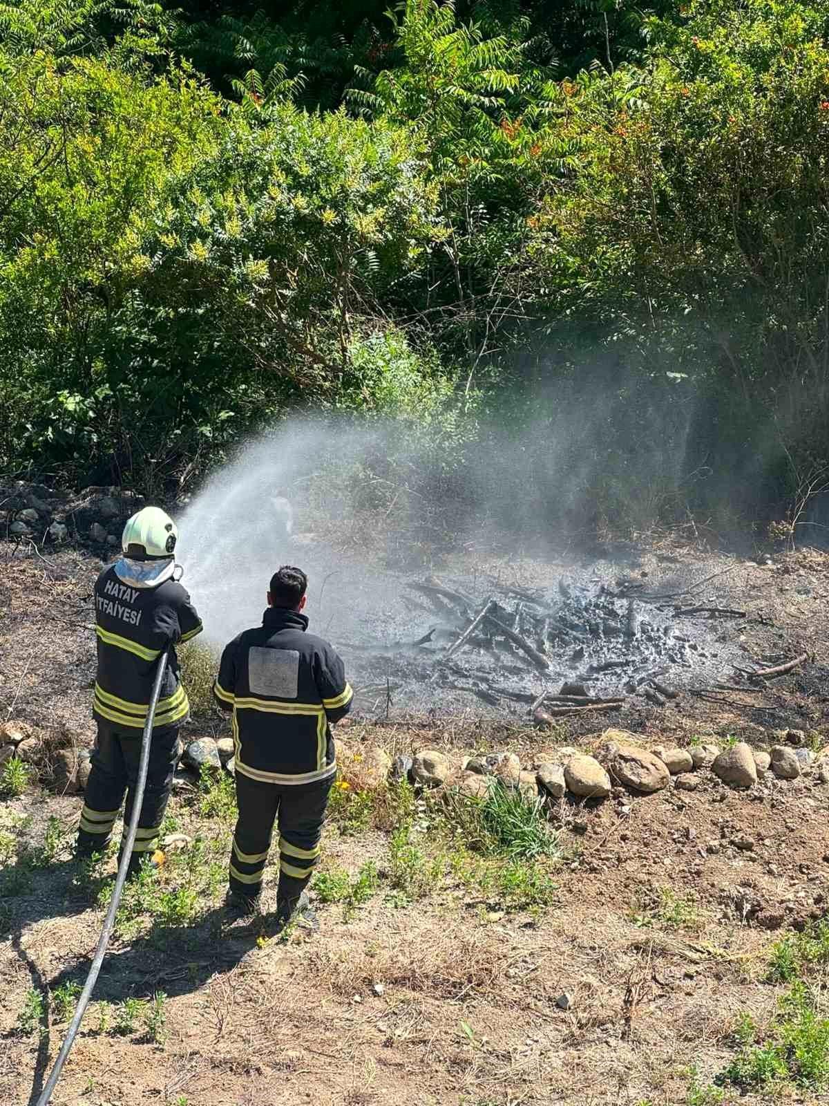 Antakya'da zeytinlik alan yangını