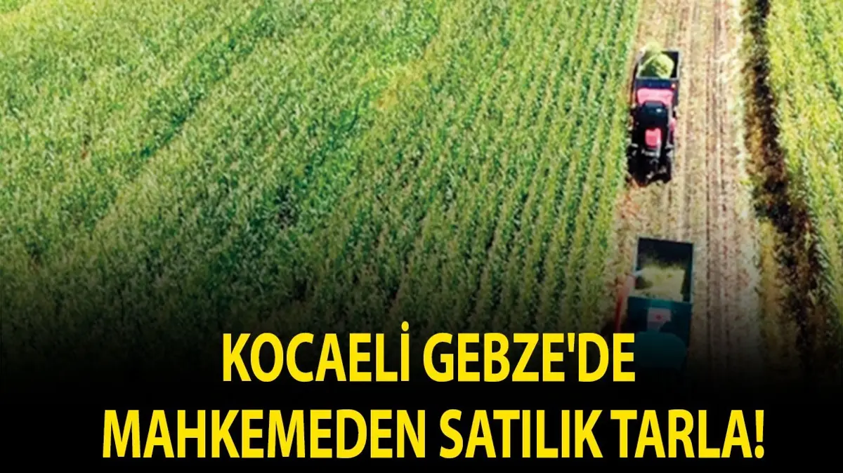Kocaeli Gebze'de mahkemeden satılık tarla!