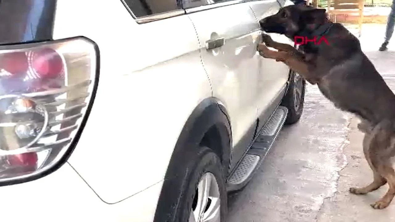 Otomobile zulalanmış uyuşturucuyu narkotik köpeği ‘Mailo’ buldu
