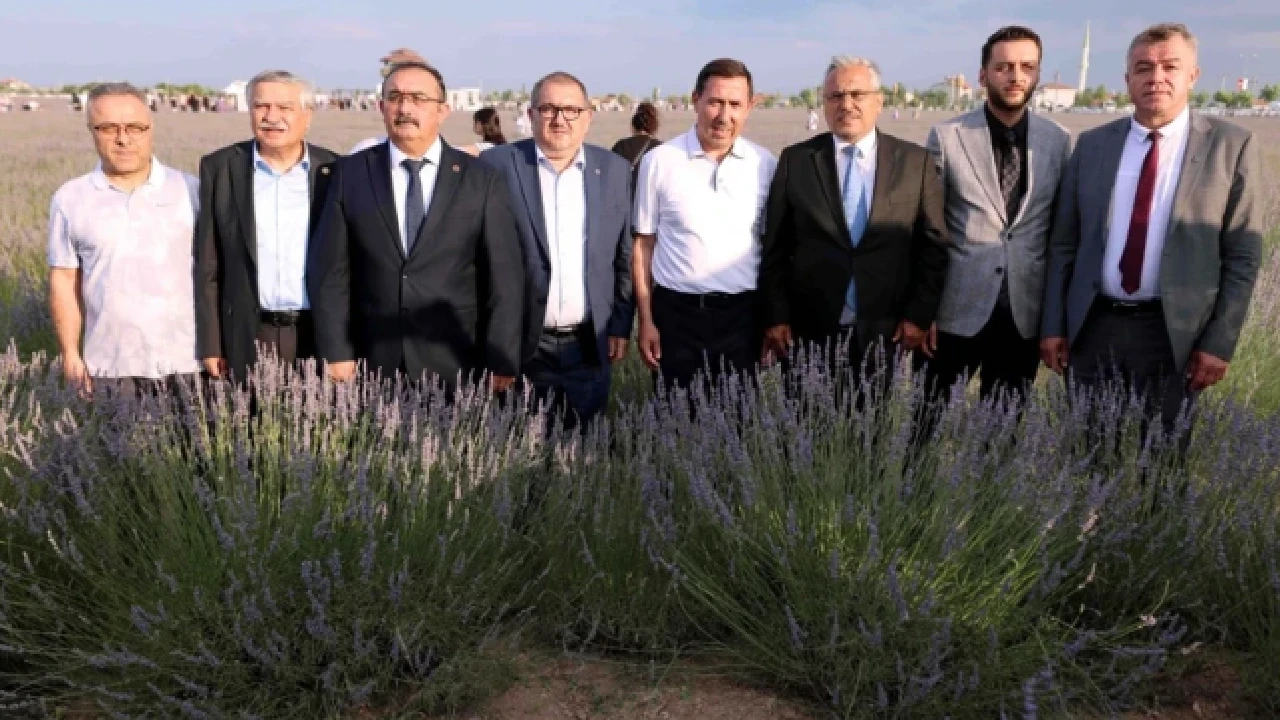 Festival ziyaretçilerden tam not! Lavanta Günlerine binlerce insan akın etti