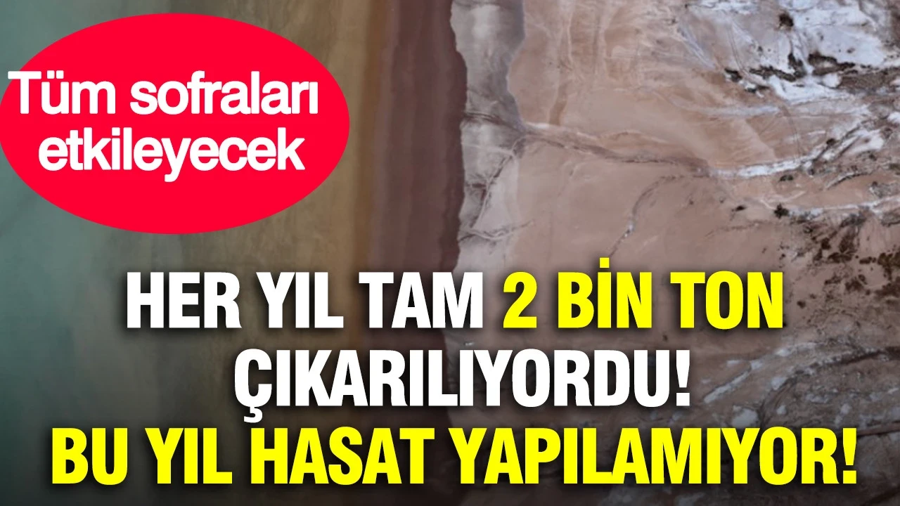 Her yıl tam 2 bin ton çıkarılıyordu, bu yıl hasat yapılamıyor: Tüm sofraları etkileyecek