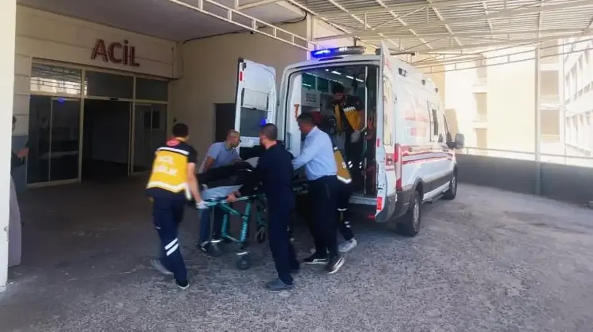 Mercimek hasadında çalışan 6 işçi hastanelik oldu