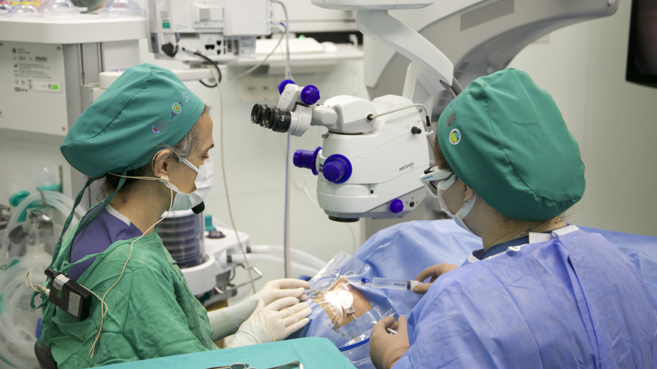 Körlere görme yeteneği kazandıran göz implantına satış onayı
