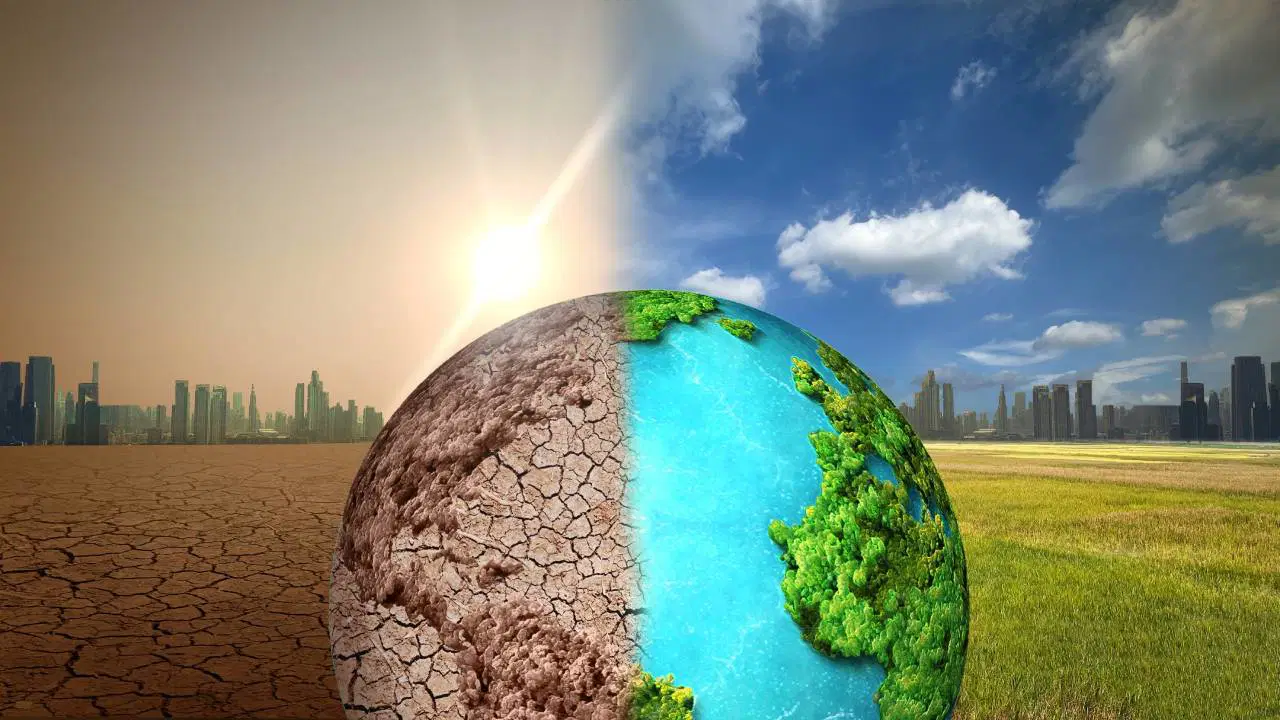 COP31’e giderken...