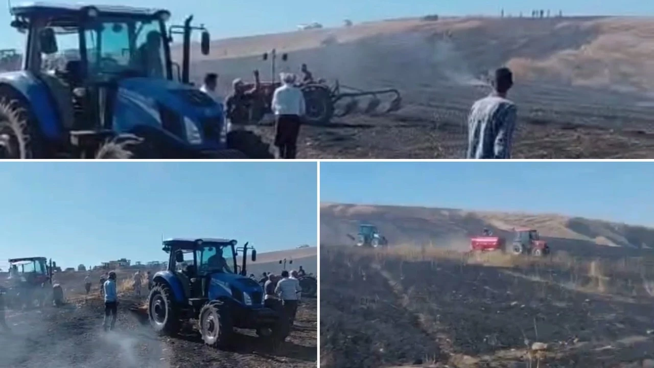 Biçerdöverden çıkan yangın 50 dönüm ekili alanı kül etti