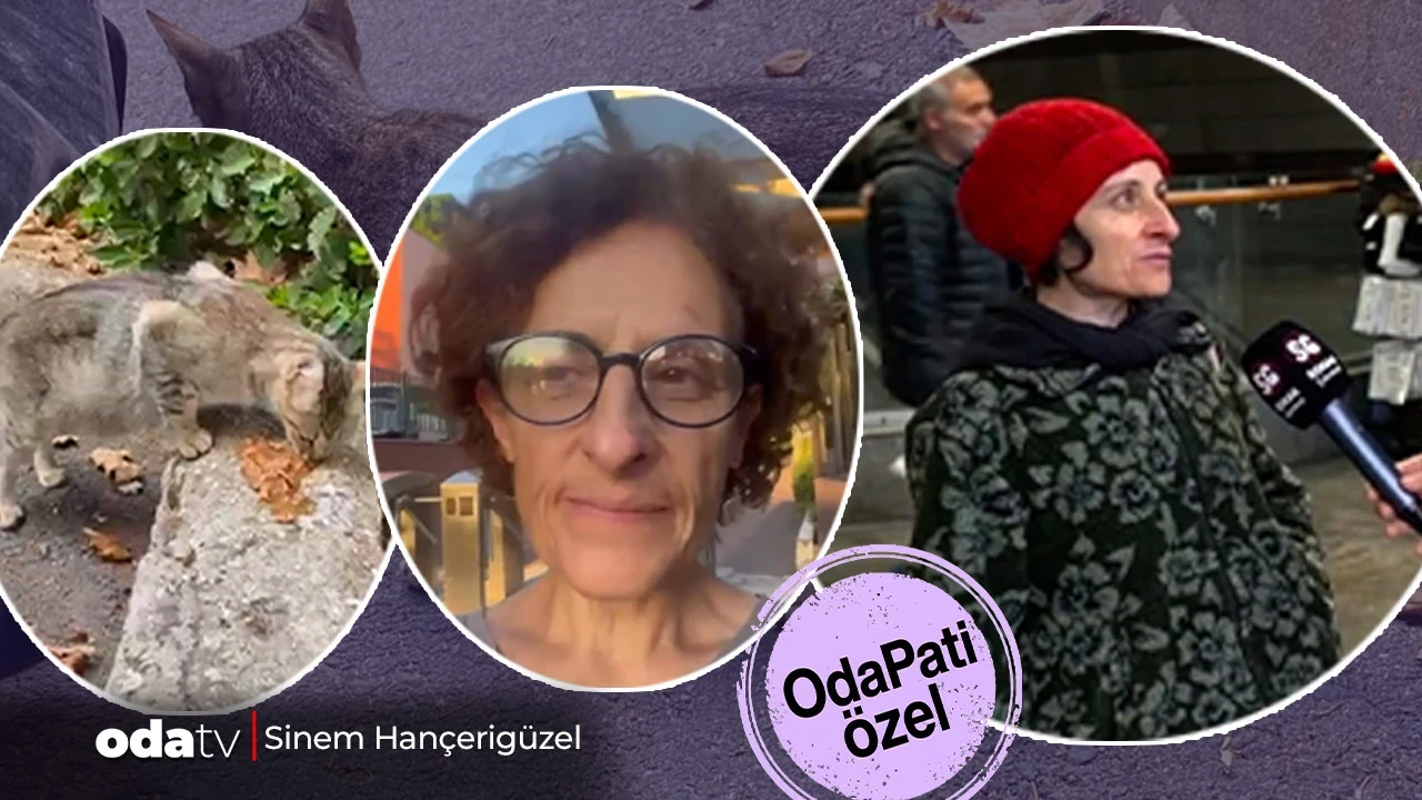 'Sosyal çürüme' videosuyla tanındı... Zeliha Bürtek niye kampüse giremedi... Odatv sordu: 'Kedi' krizinin perde arkası... Üniversiteden yalanlama