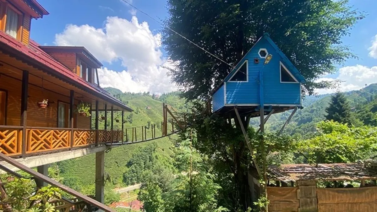 Rize'de iki kardeş çocukluk hayalini gerçekleştirdi: Ağaç eve asma köprüyle ulaşıyorlar