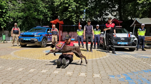 Jandarmanın eğitimli köpekleri minik öğrencilere gösteri düzenledi